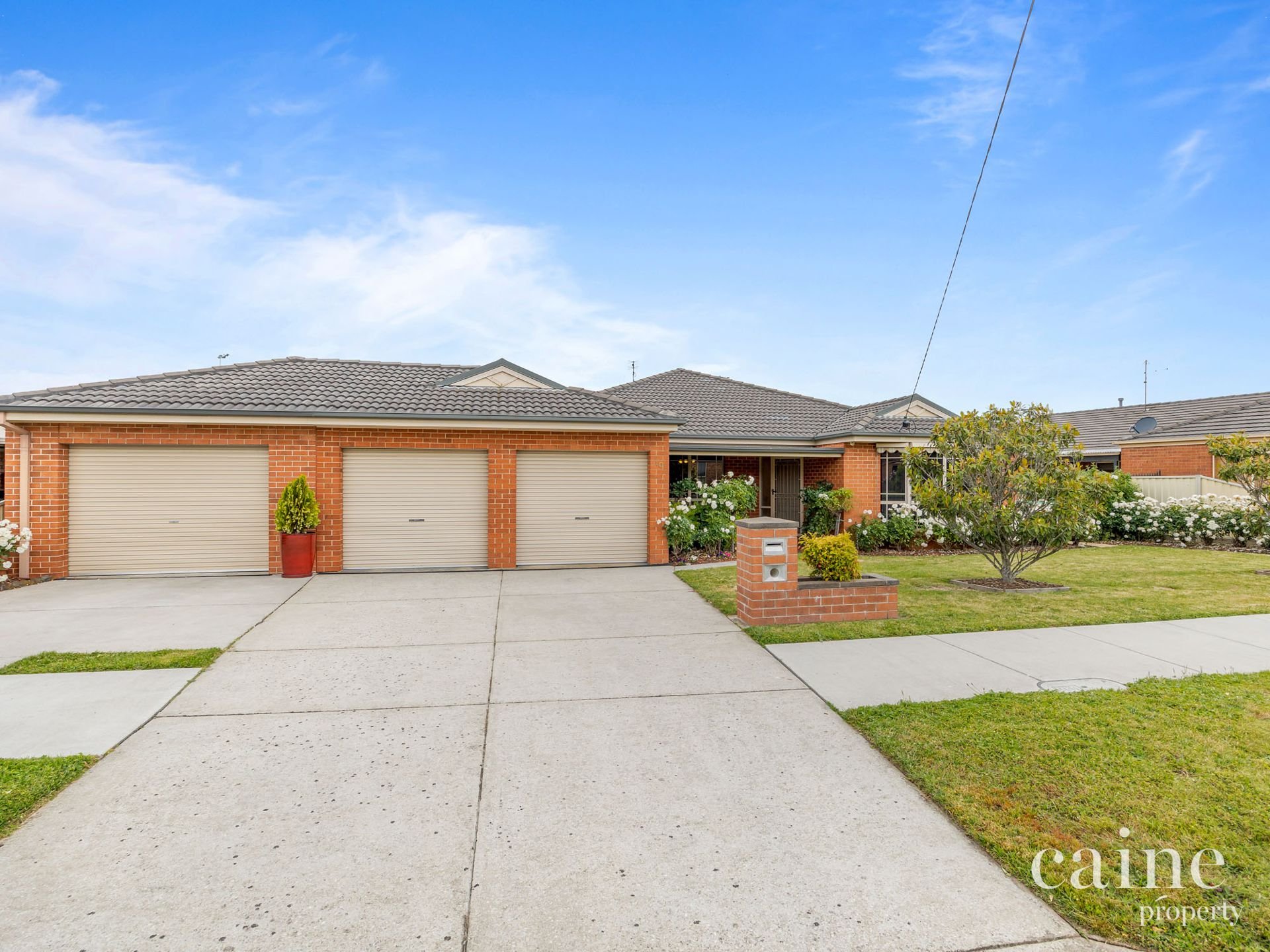 10 Jasmine Drive, Delacombe image 18