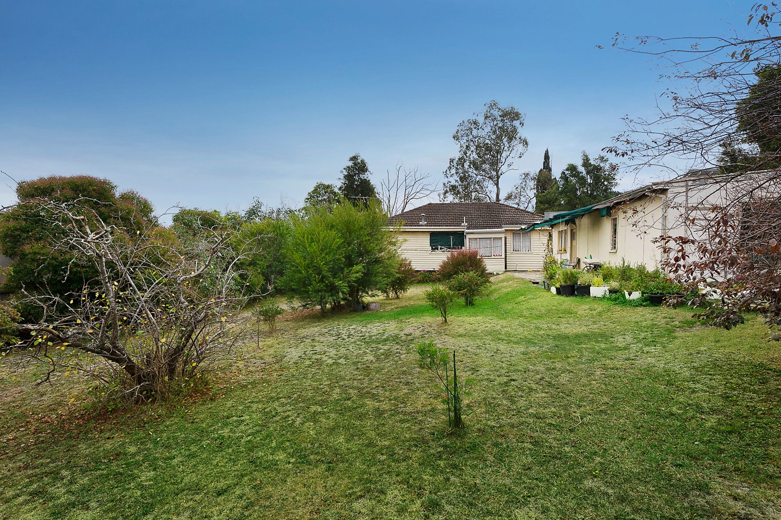 10 Jean Street, Templestowe Lower image 3