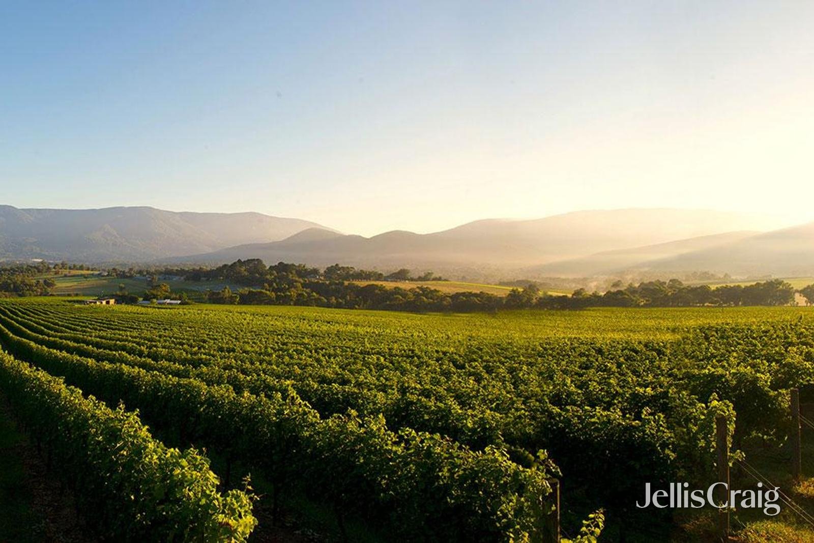 10 Juliet Crescent, Healesville image 33