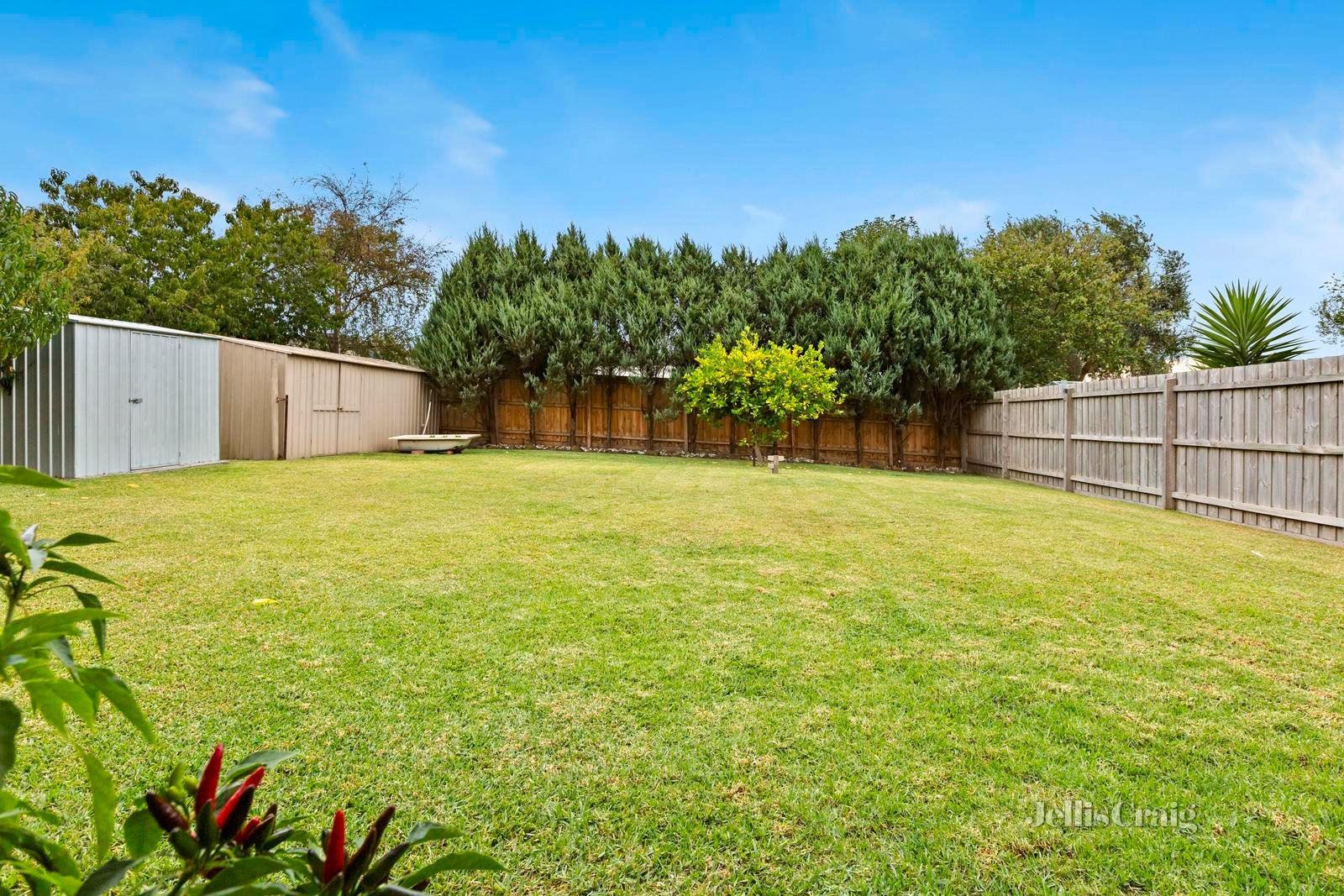 10 Kenworthy Rise, Mornington image 13