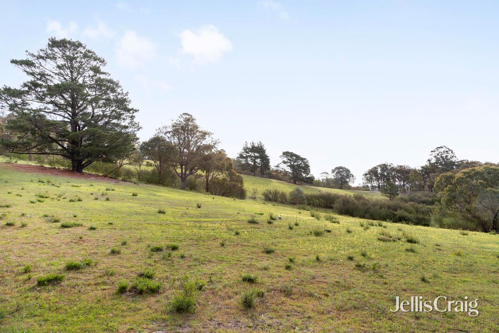 10 Kerrs Road, St Andrews image 21