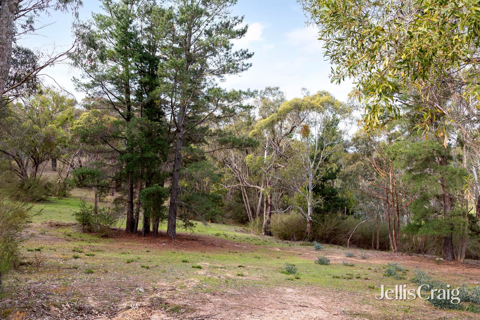 10 Kerrs Road, St Andrews image 22