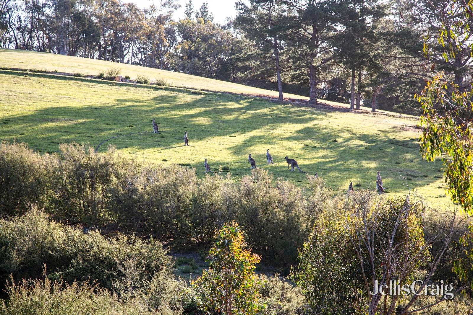 10 Kerrs Road, St Andrews image 24
