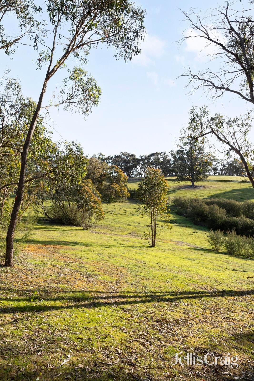 10 Kerrs Road, St Andrews image 25