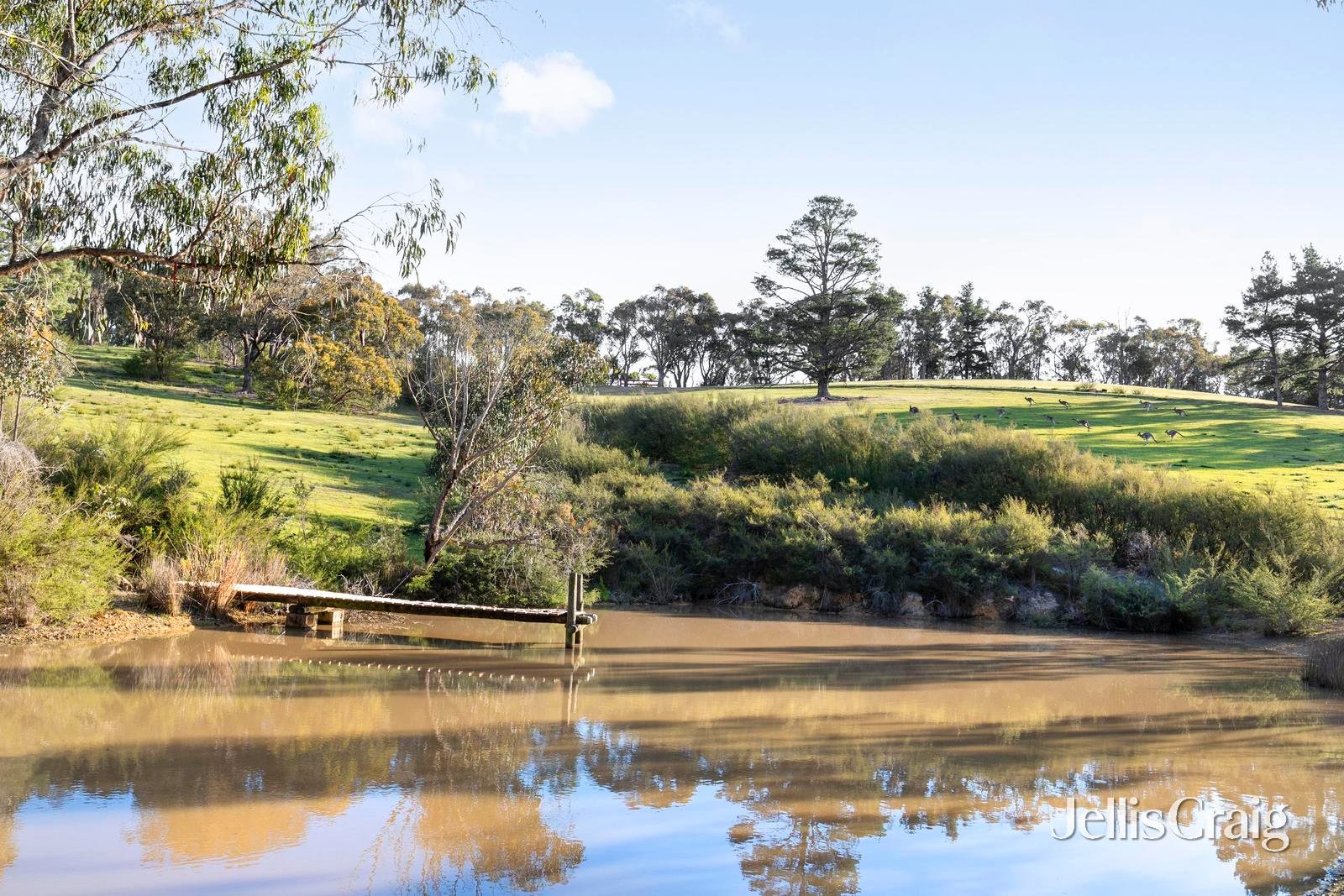 10 Kerrs Road, St Andrews image 27