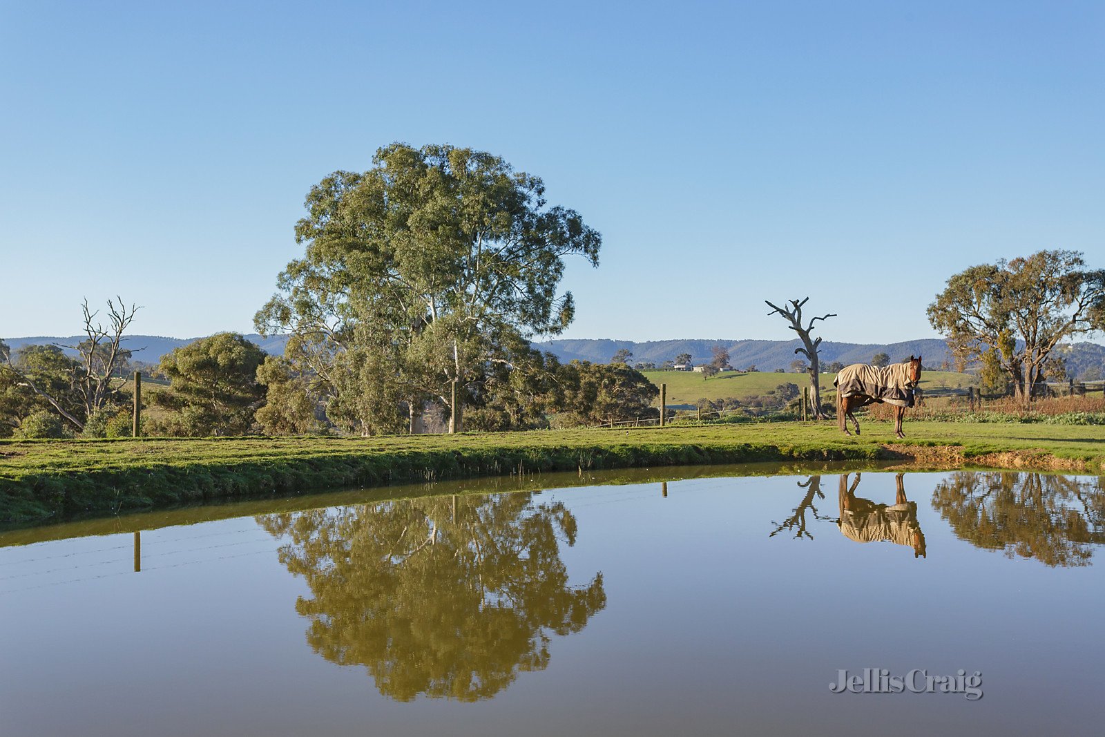 10 Lake View Road, St Andrews image 16