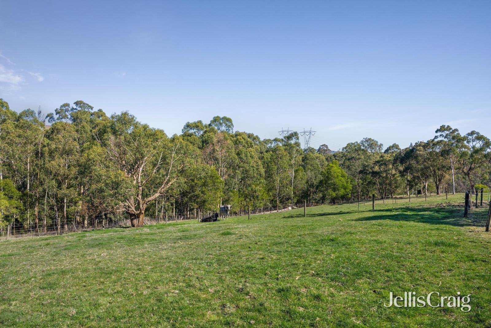 10 Longs Road, Yellingbo image 16