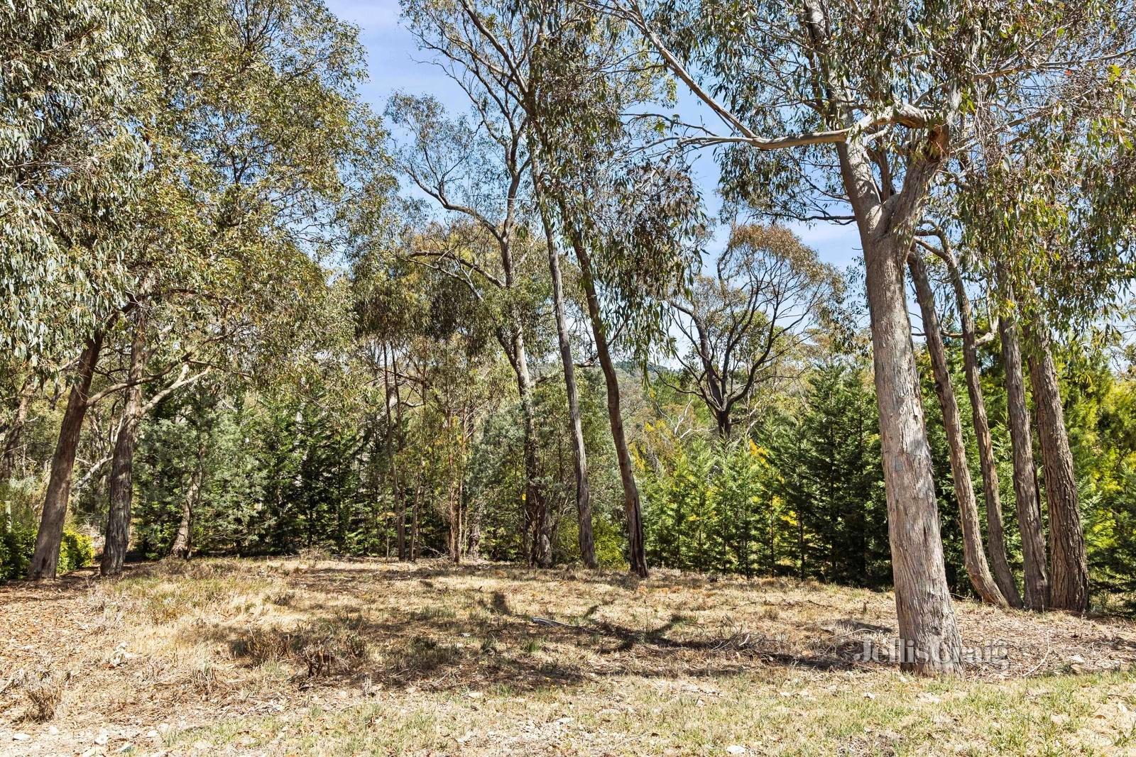 10 Main Road, Hepburn Springs image 17