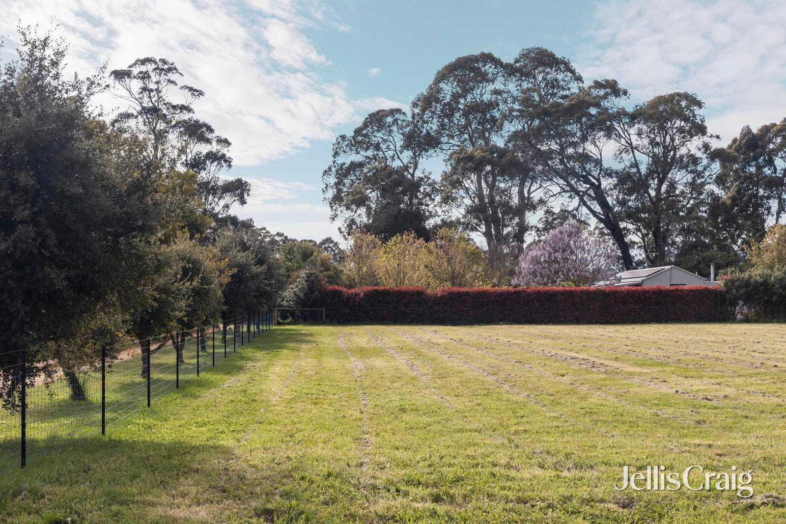 10 Mcmahons Road, Glenlyon image 7