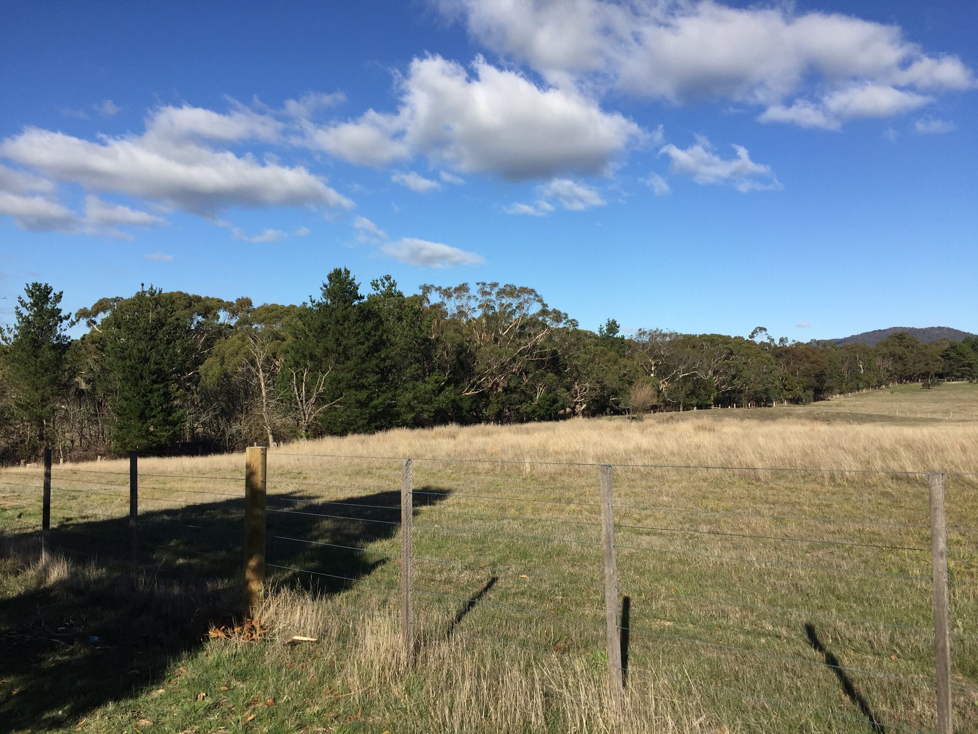 10 Monument Creek Road, Rochford image 13