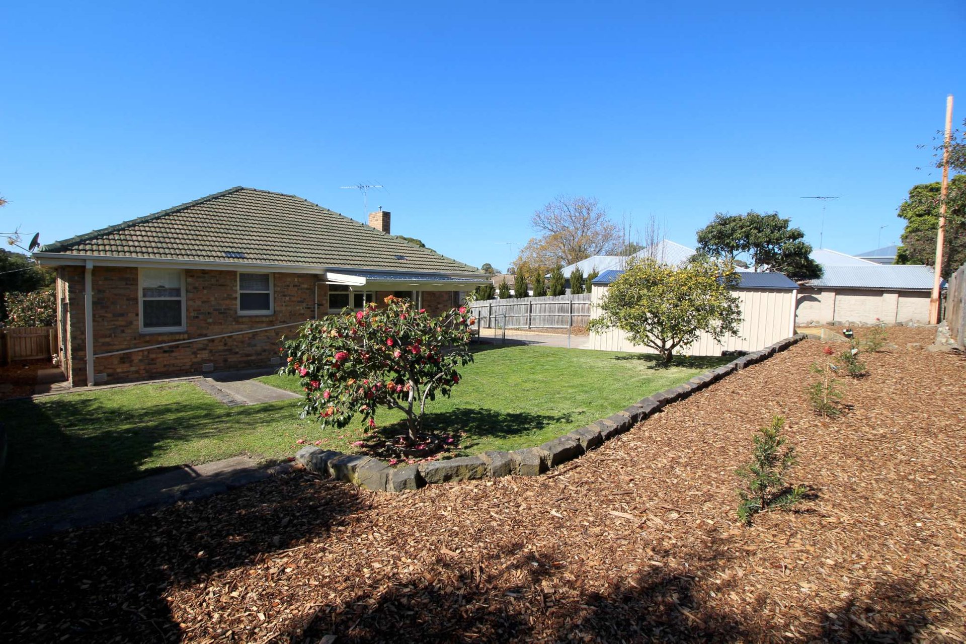 10 Norman Court, Highton image 15