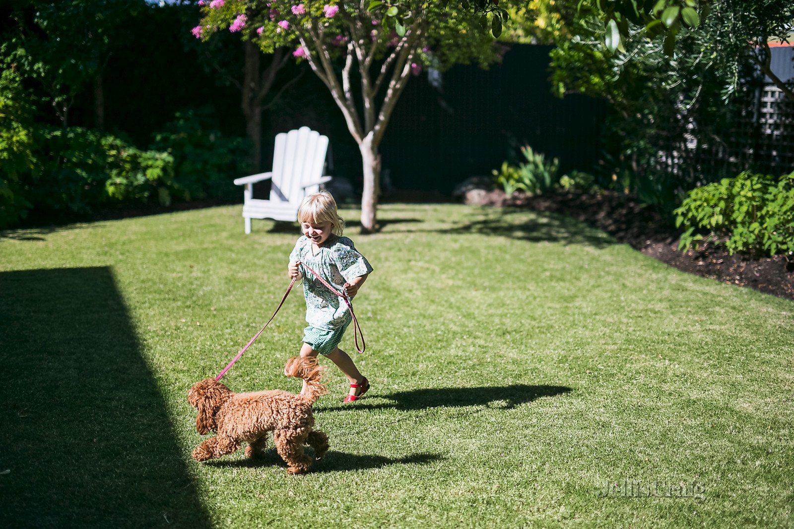 10 Oldis Avenue, Northcote image 4