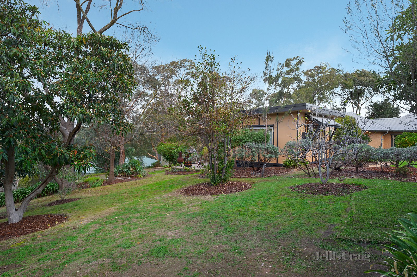 10 Peter Street, Eltham image 12