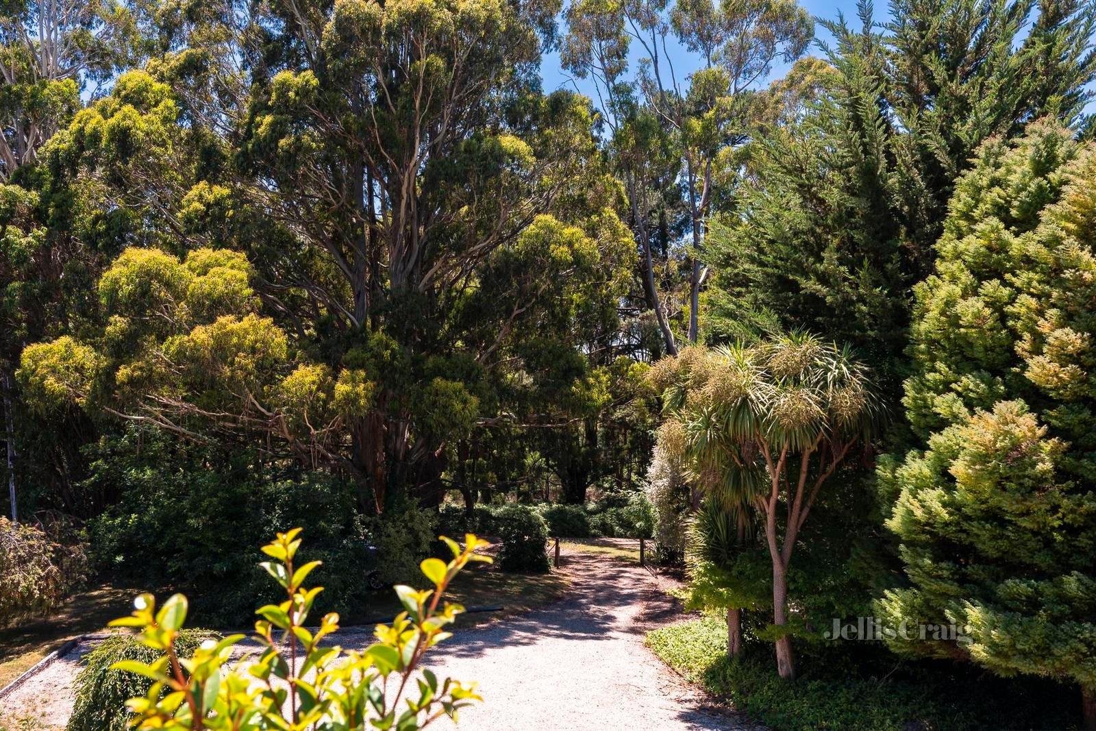 10 Railway Avenue, Lyonville image 15