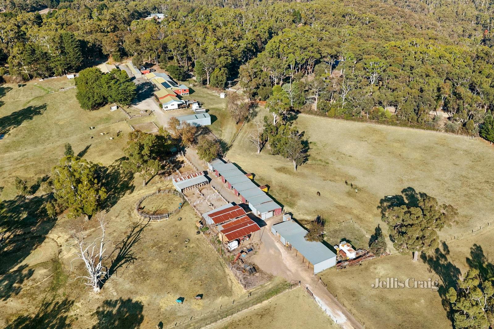 10 Ranch Road, Daylesford image 24