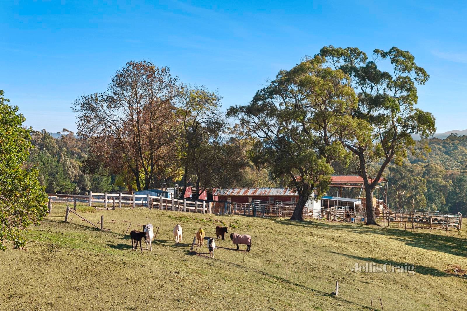 10 Ranch Road, Daylesford image 26