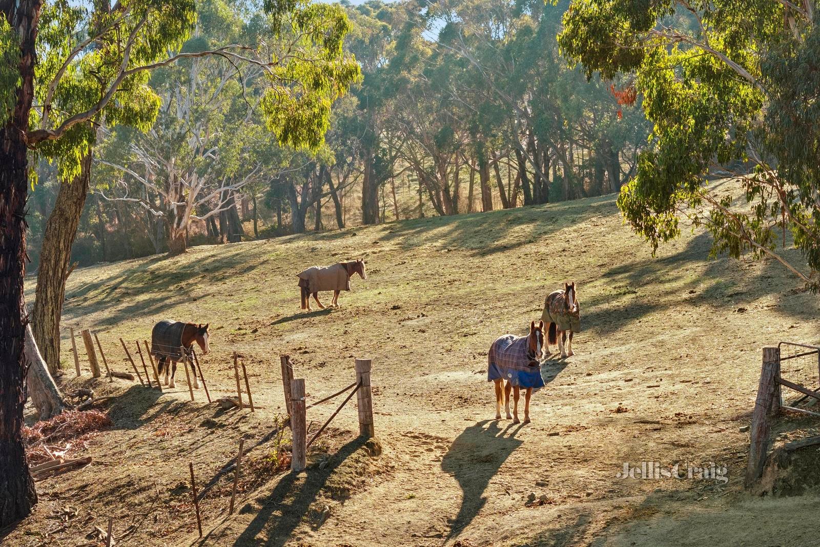 10 Ranch Road, Daylesford image 28