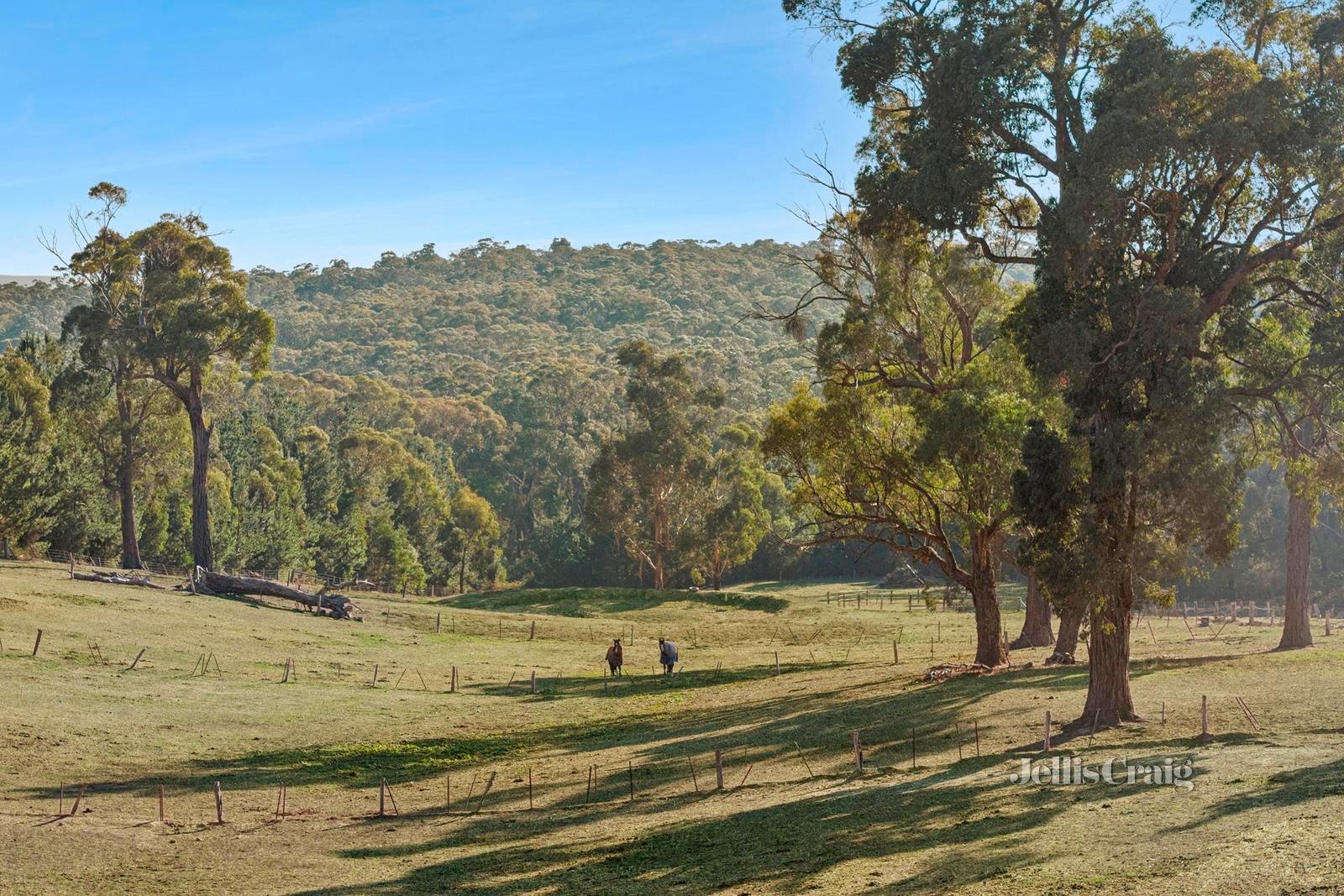 10 Ranch Road, Daylesford image 29
