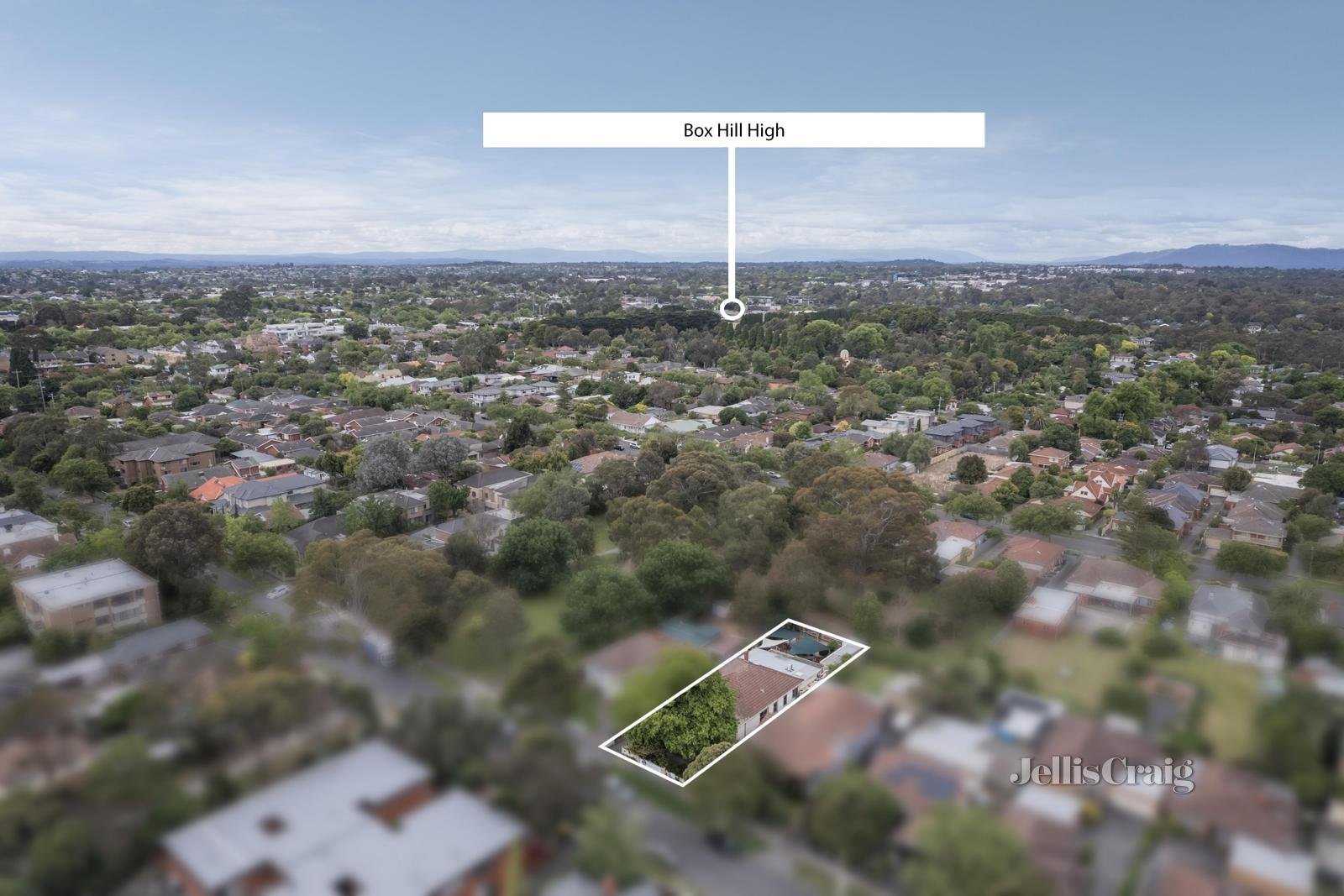 10 Rose Street, Box Hill image 11