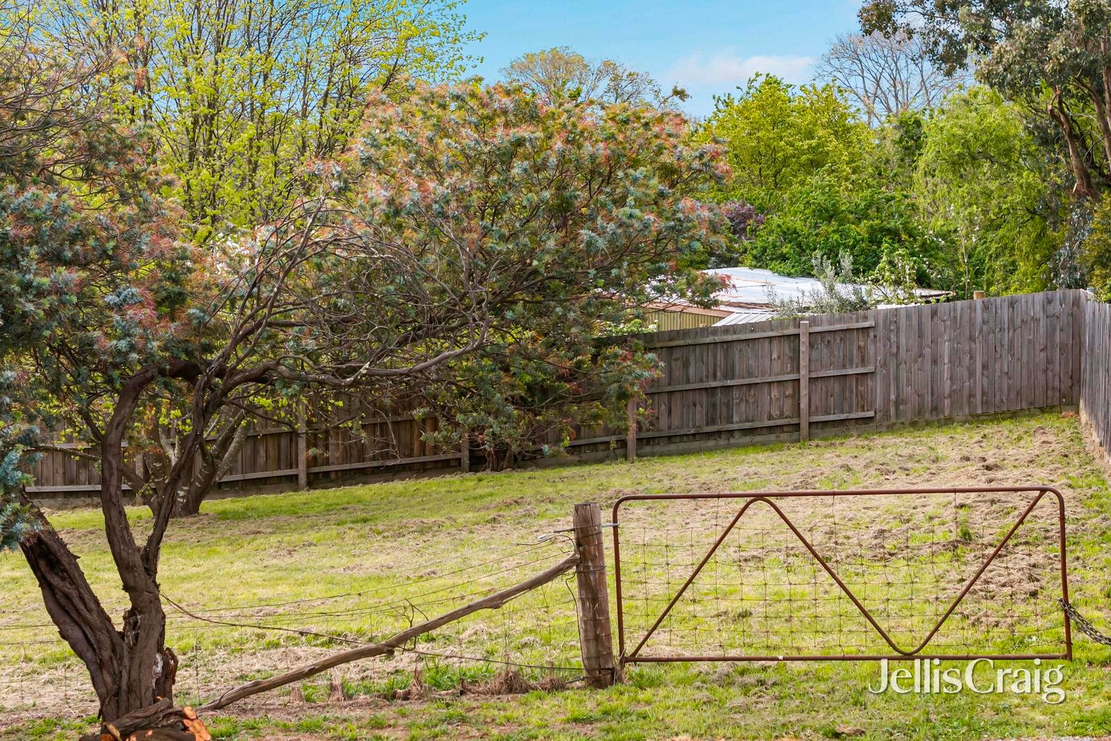 10 Ross Street, Malmsbury image 6