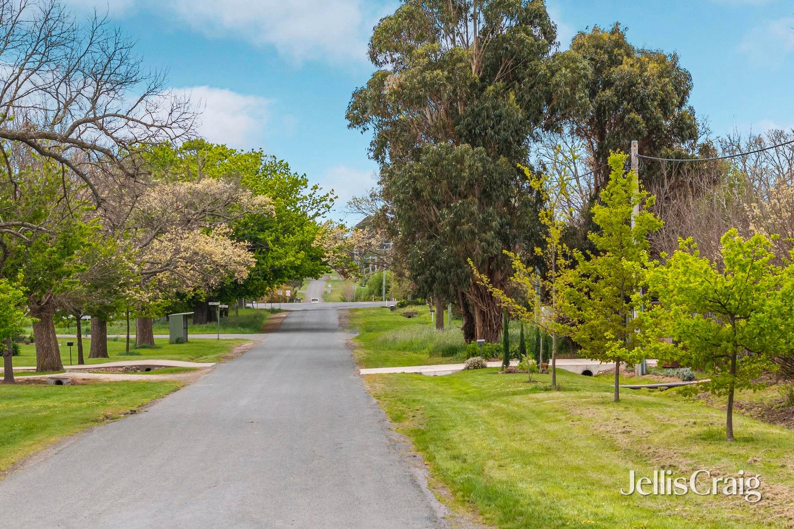 10 Ross Street, Malmsbury image 7