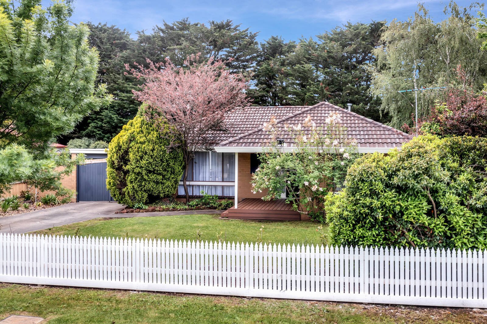 Property Gallery - Main Image