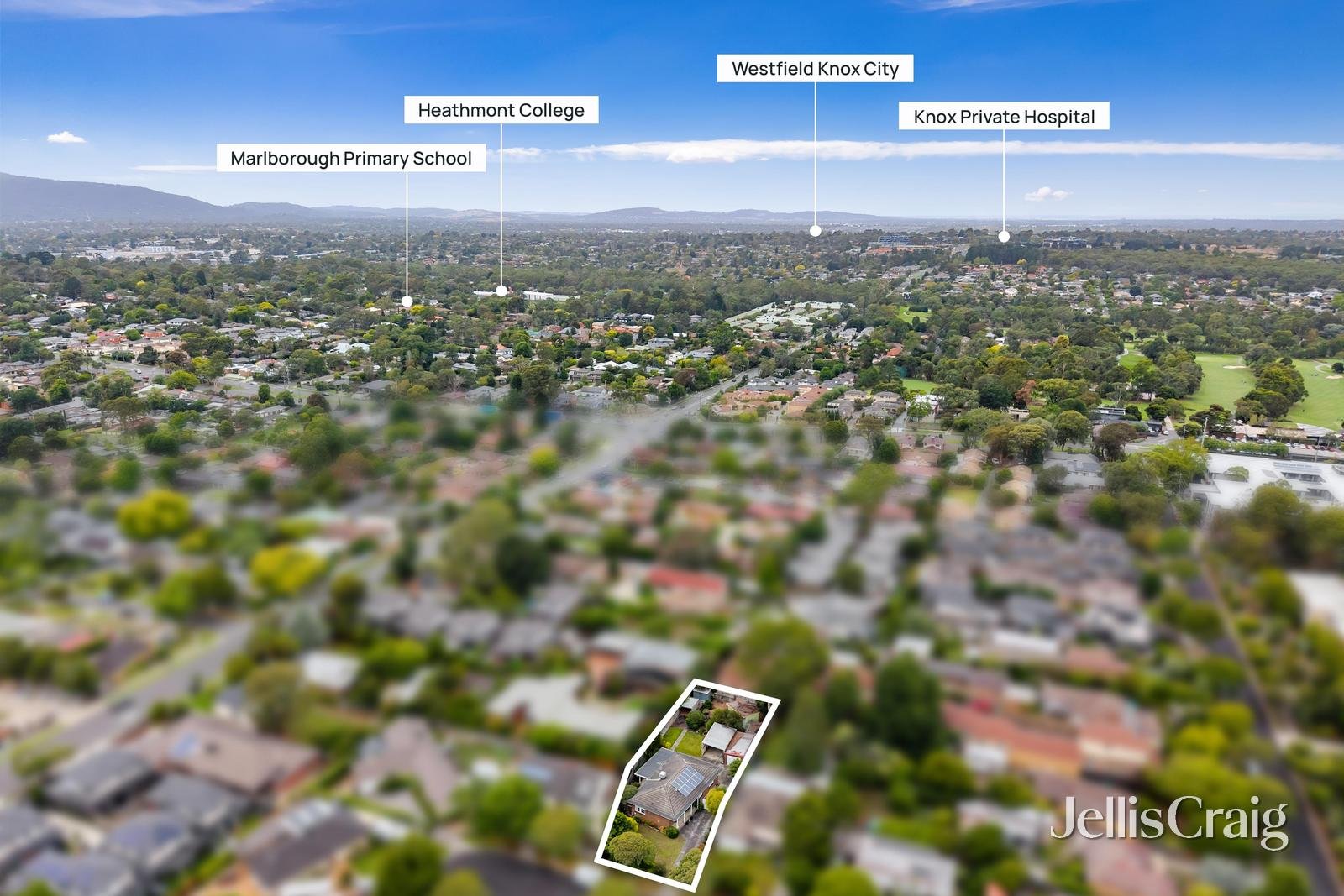 10 Wrights Court, Ringwood image 13