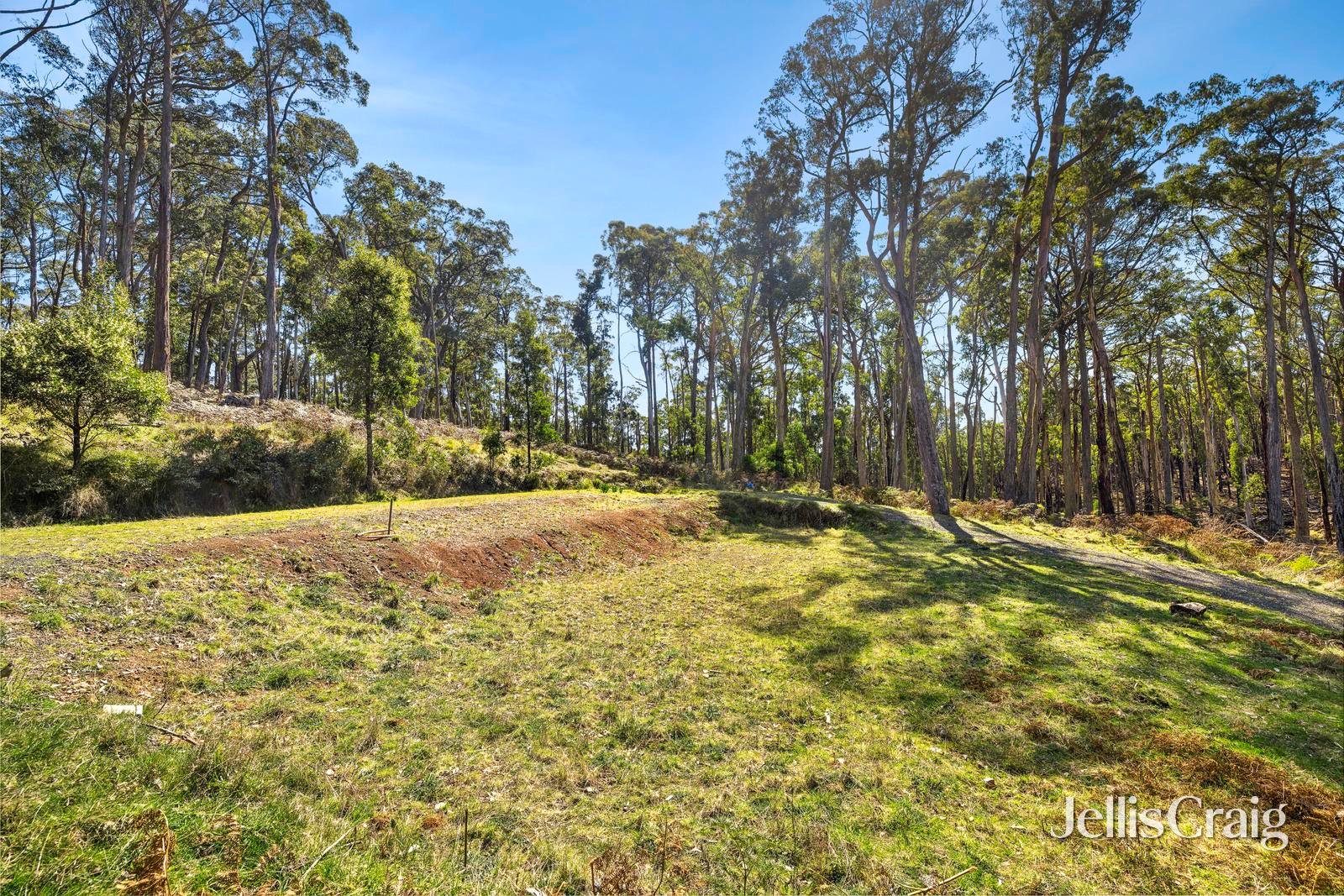 100 Fern Road, Little&nbsp;Hampton image 3