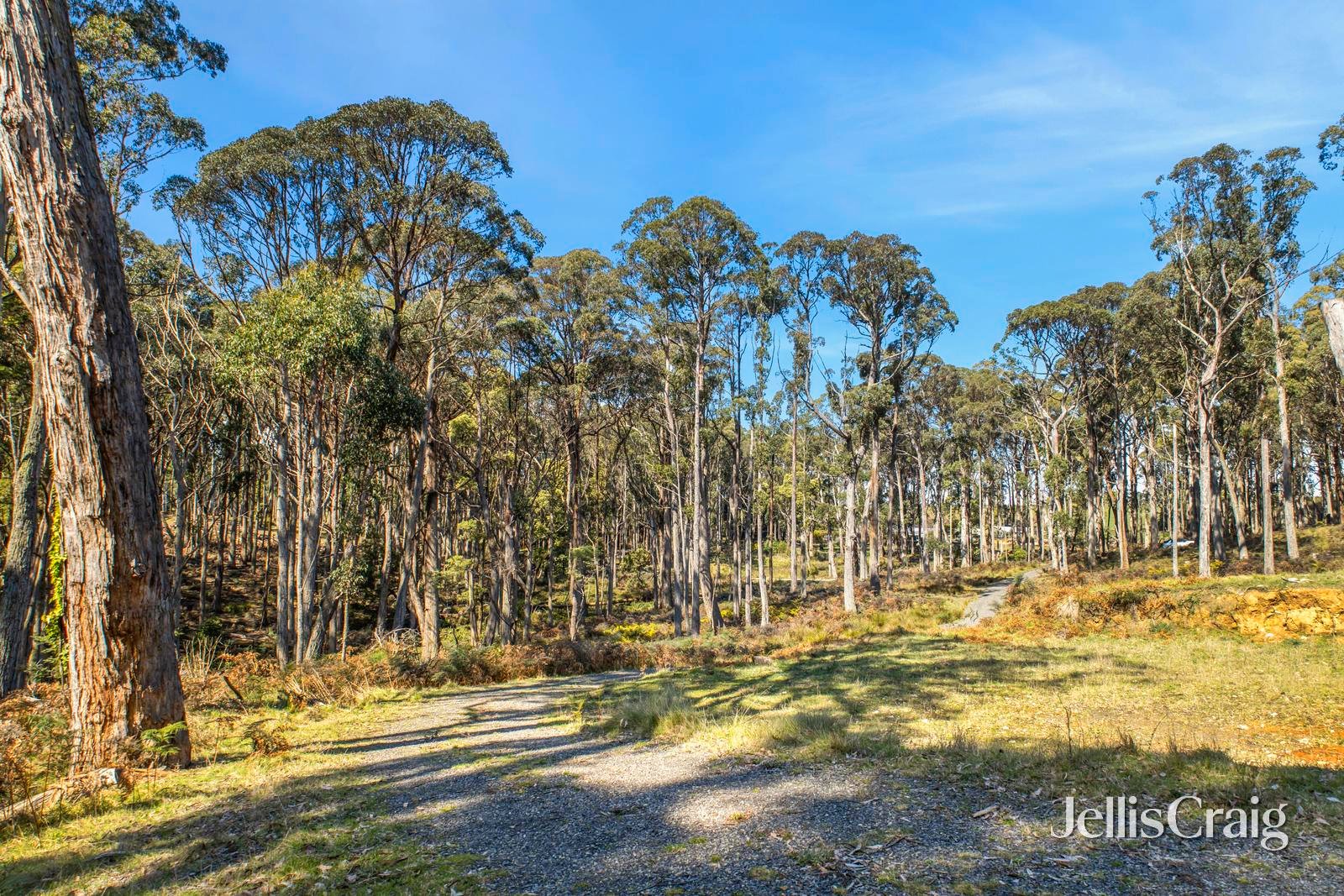 100 Fern Road, Little&nbsp;Hampton image 5