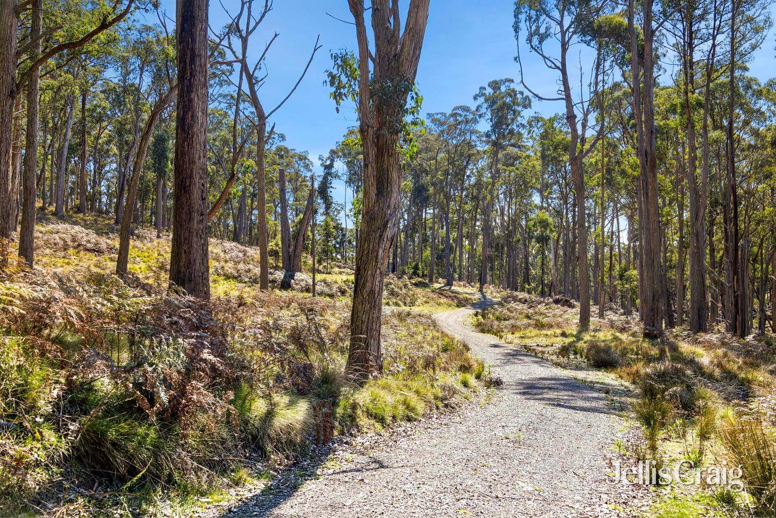 100 Fern Road, Little&nbsp;Hampton image 6