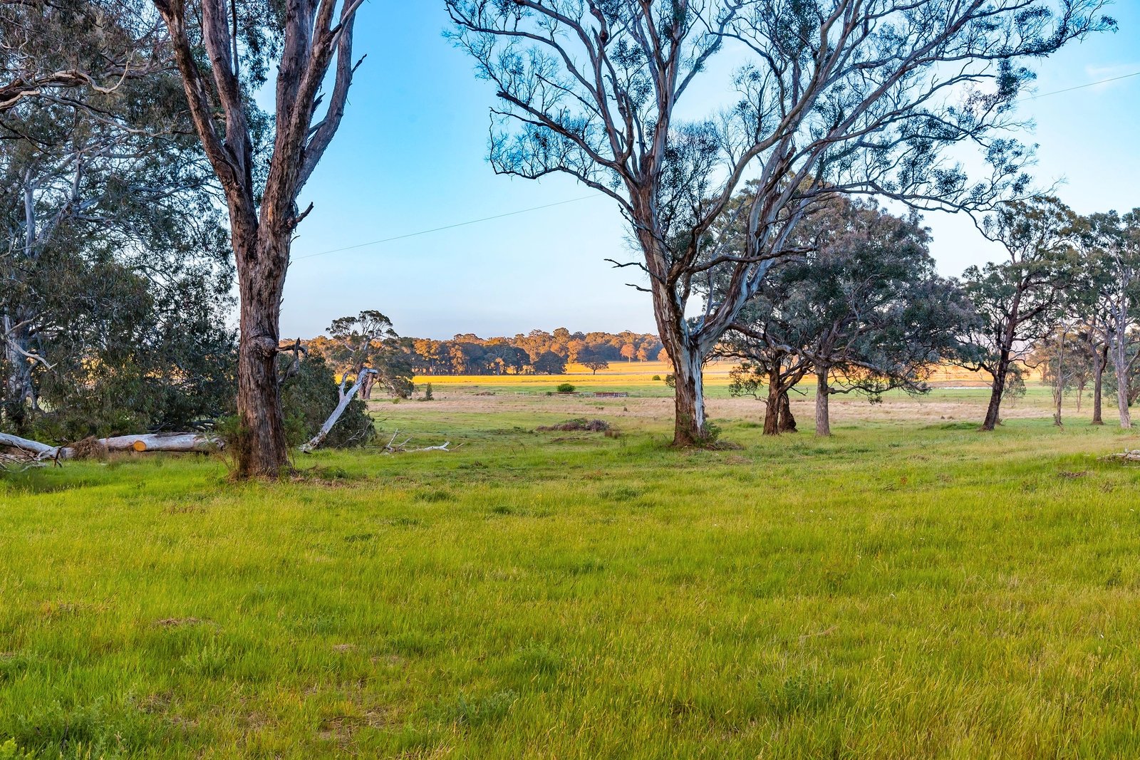 Property Gallery Thumbnail 9