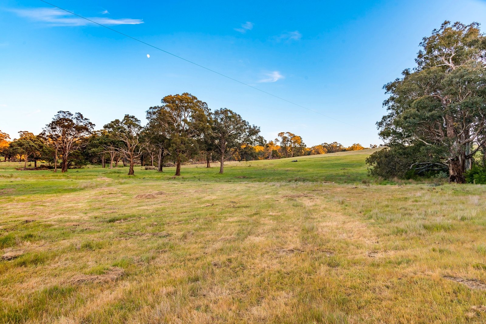 Property Gallery Thumbnail 10