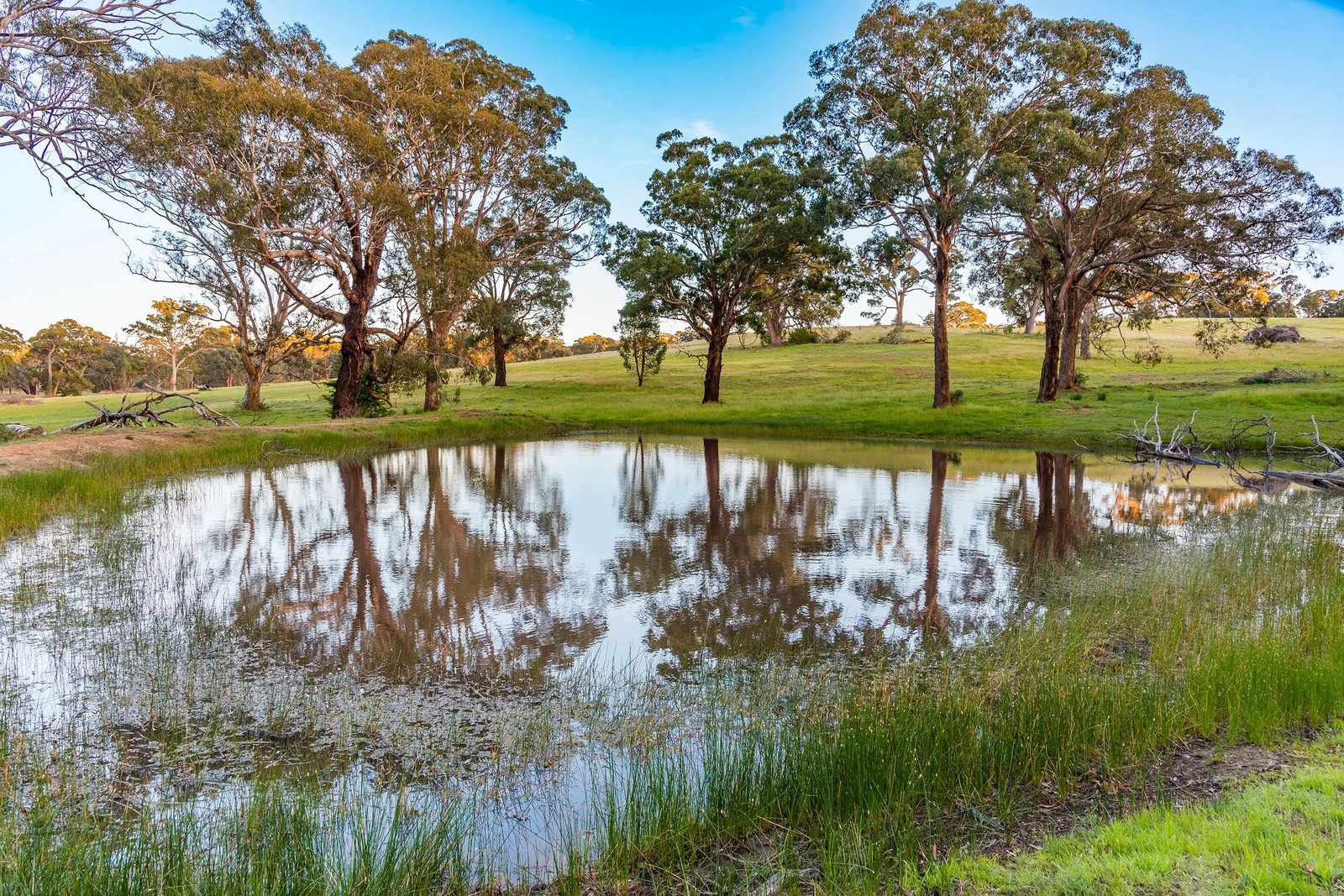 Property Gallery Thumbnail 11