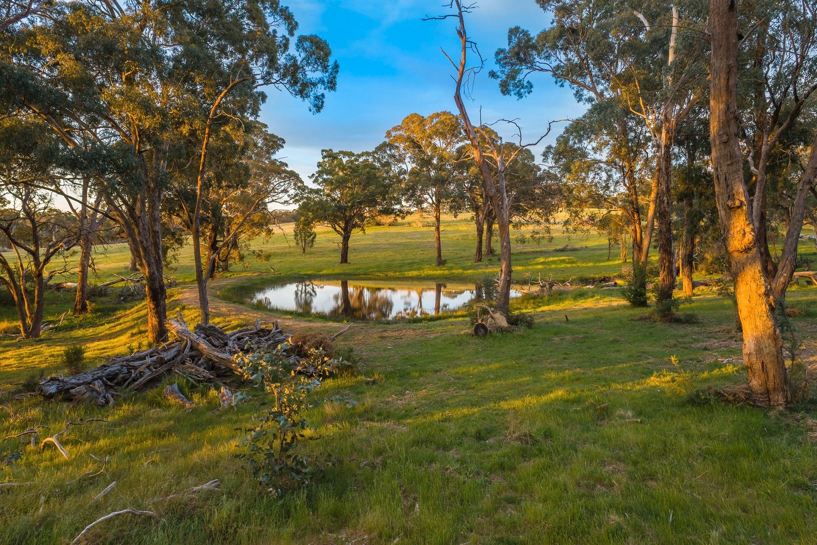 Property Gallery Thumbnail 15