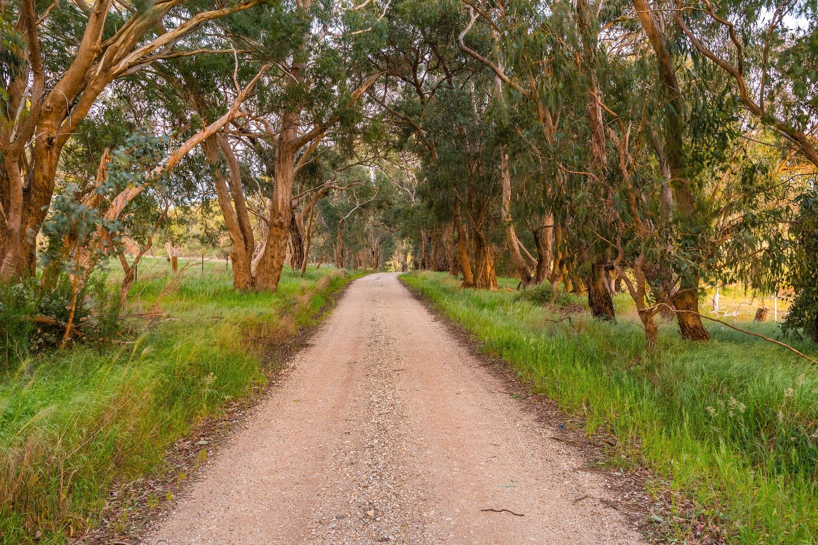 Property Gallery Thumbnail 18