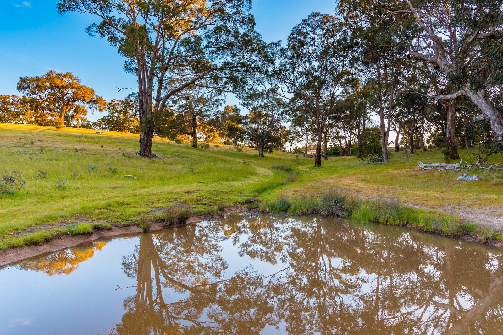 Property Gallery Thumbnail 20