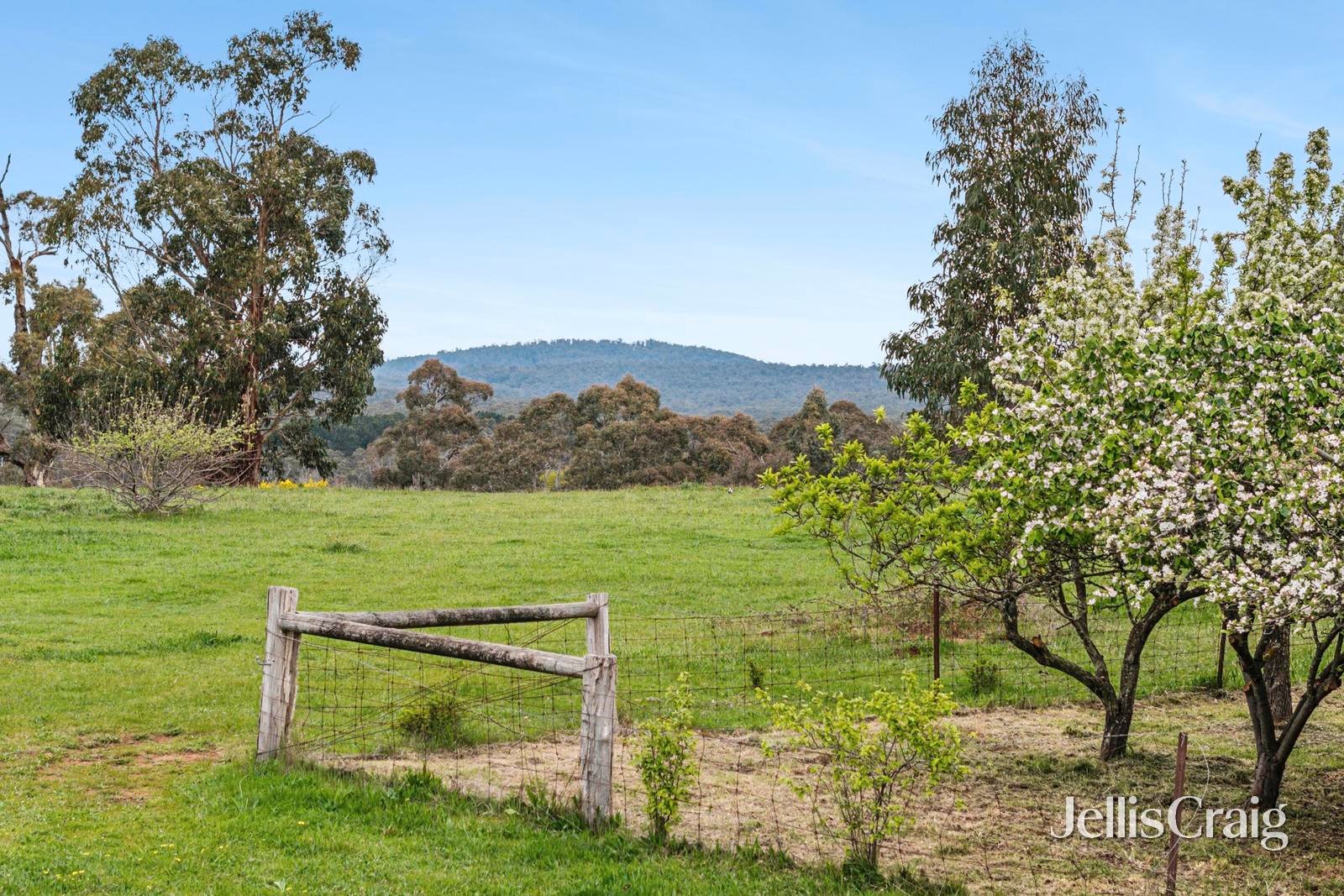 1004 Daylesford Malmsbury Road, Glenlyon image 8