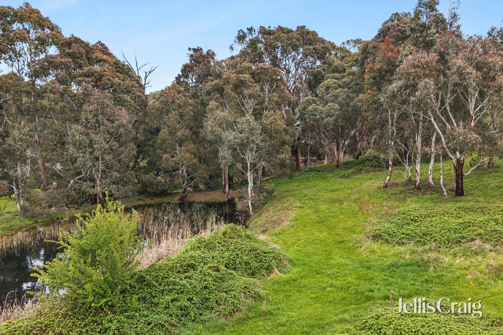 1004 Daylesford Malmsbury Road, Glenlyon image 9