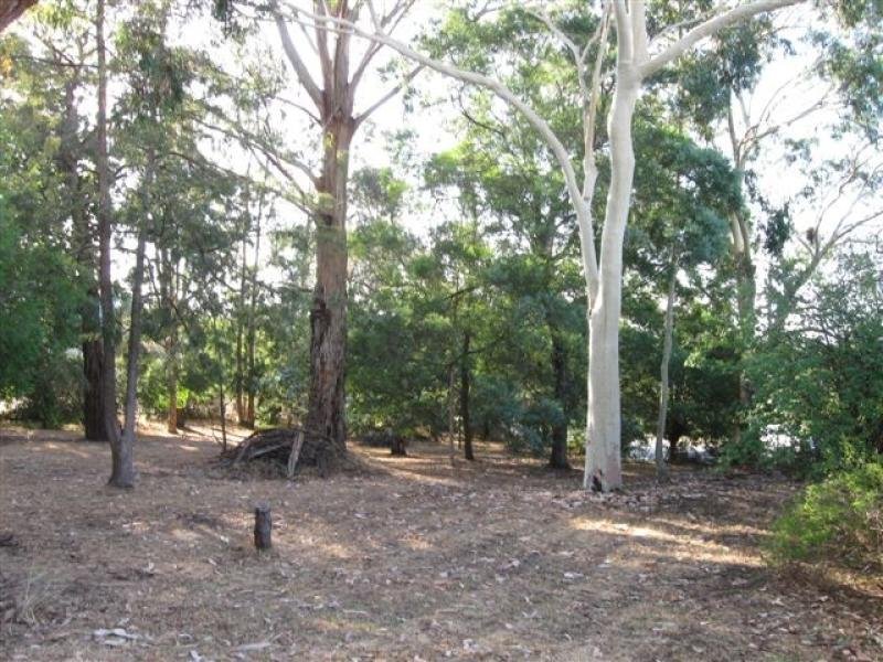 101 Oban Road, Ringwood North image 1