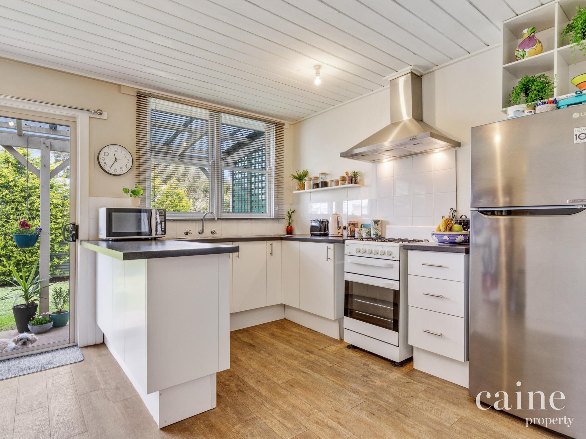 101 Vickers Street, Sebastopol image 2