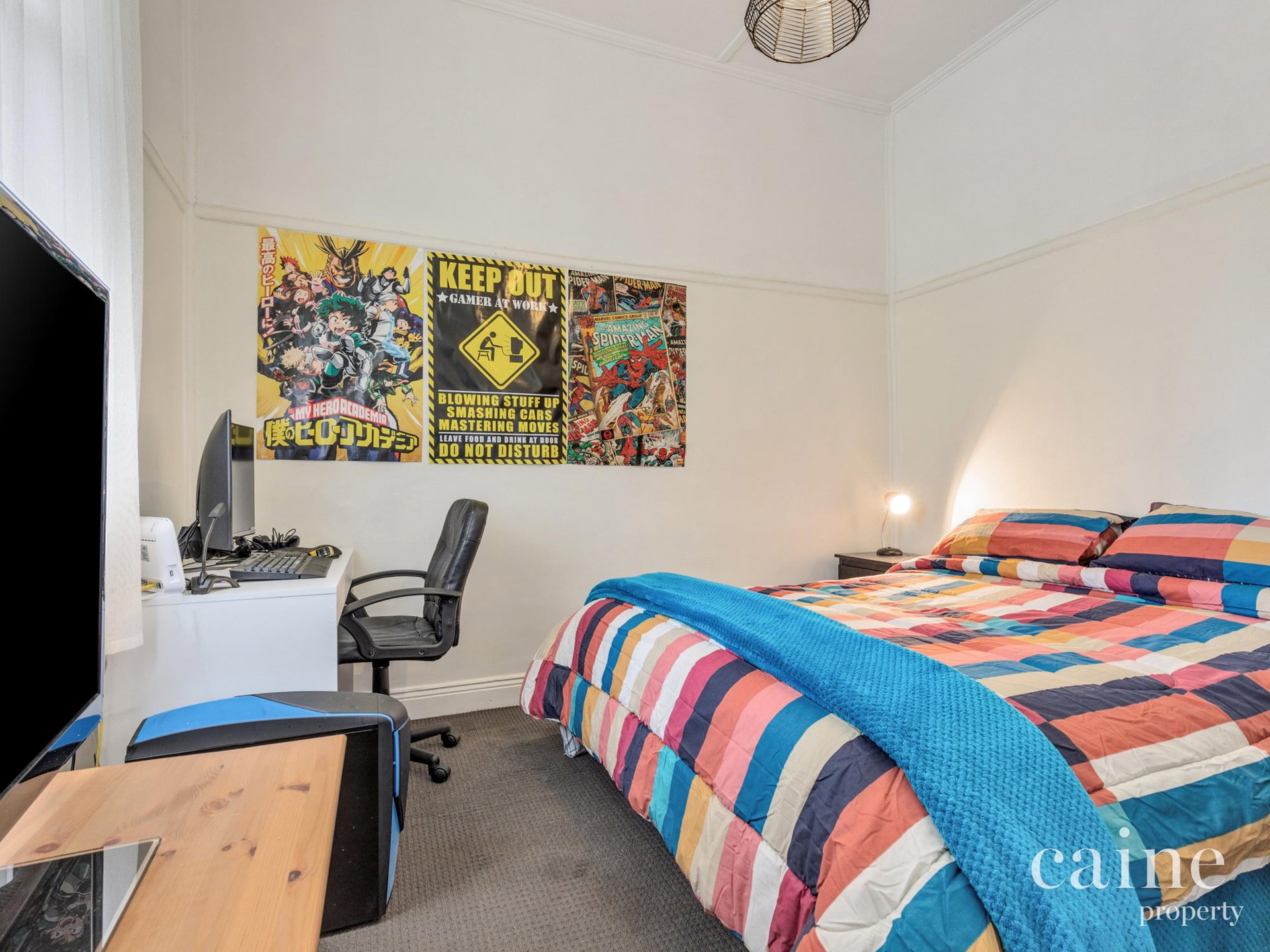 101 Vickers Street, Sebastopol image 6