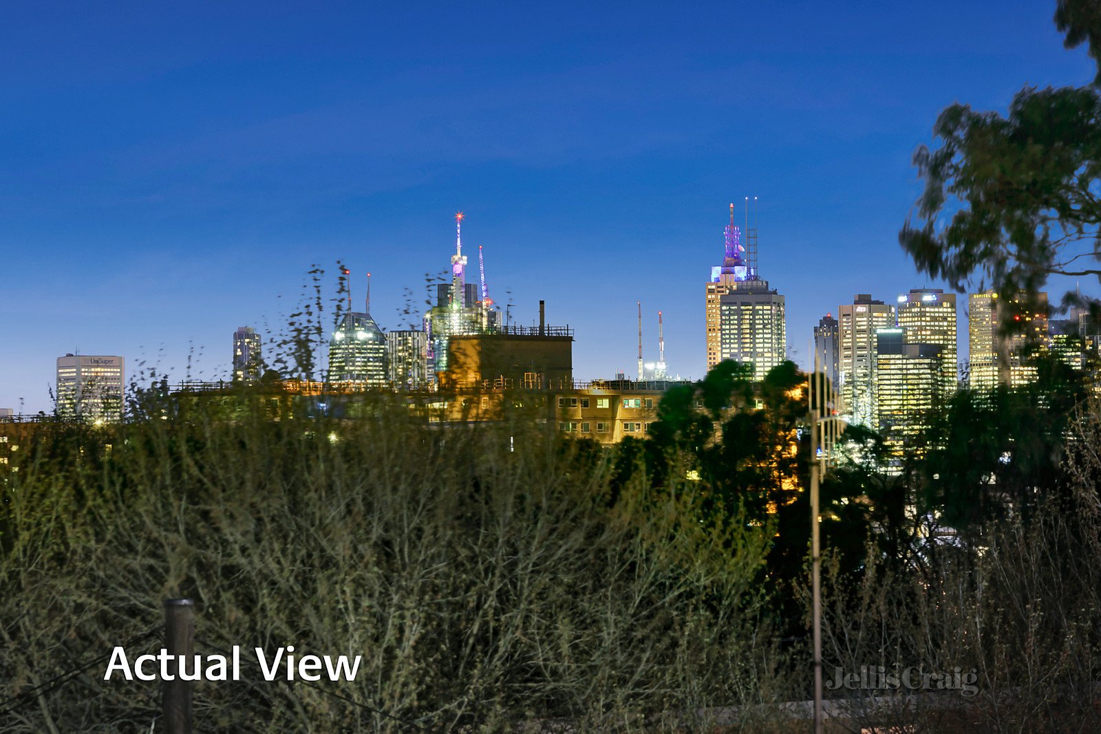 101 Williams Road, Prahran image 10