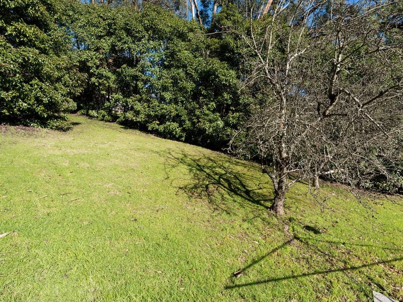 101 York Road, Mount Evelyn image 12