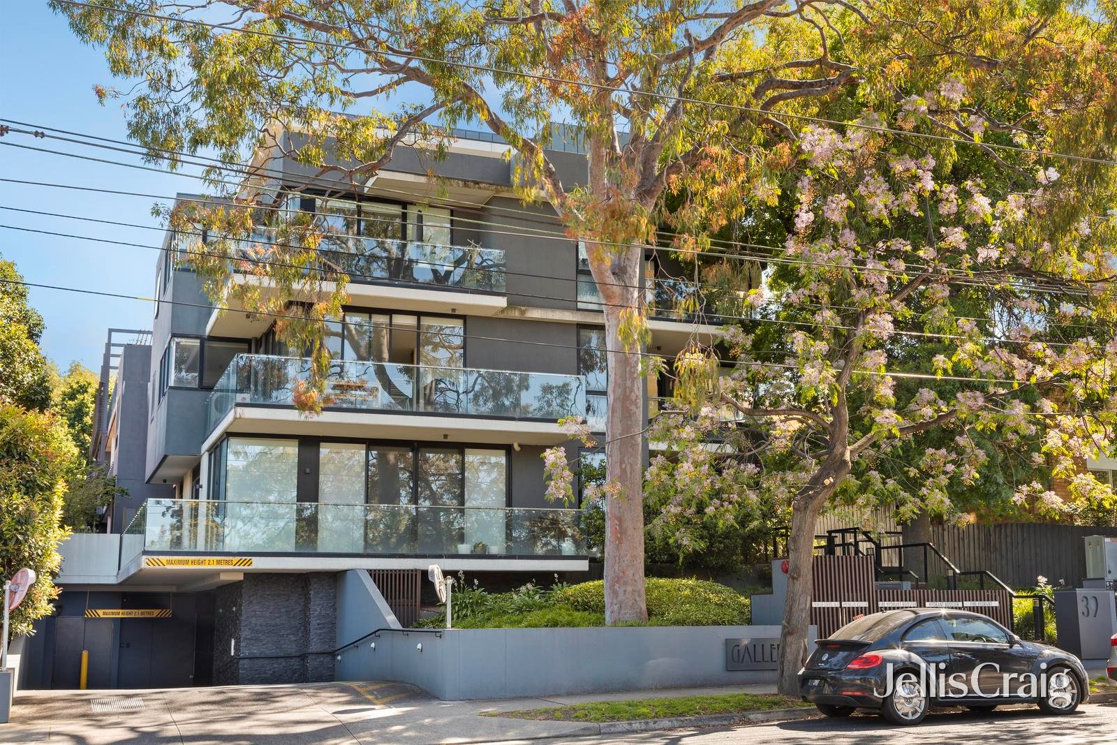 101/39 Riversdale Road, Hawthorn image 8