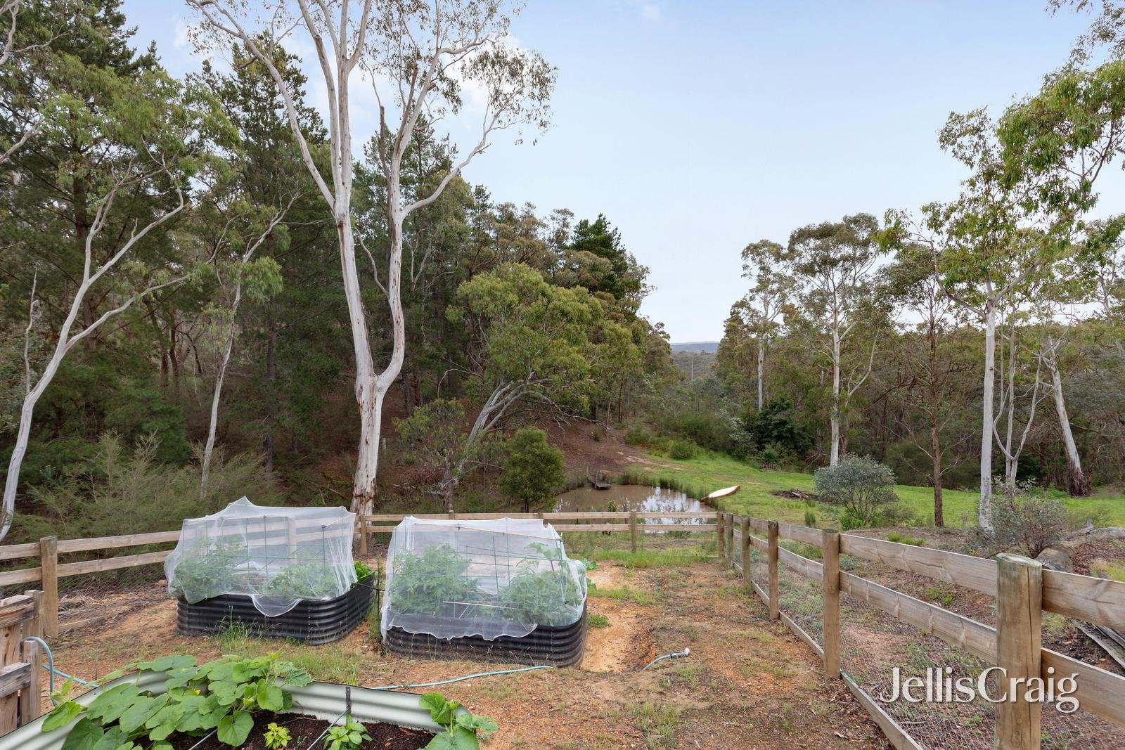 1015 Kangaroo Ground St Andrews Road, St Andrews image 21