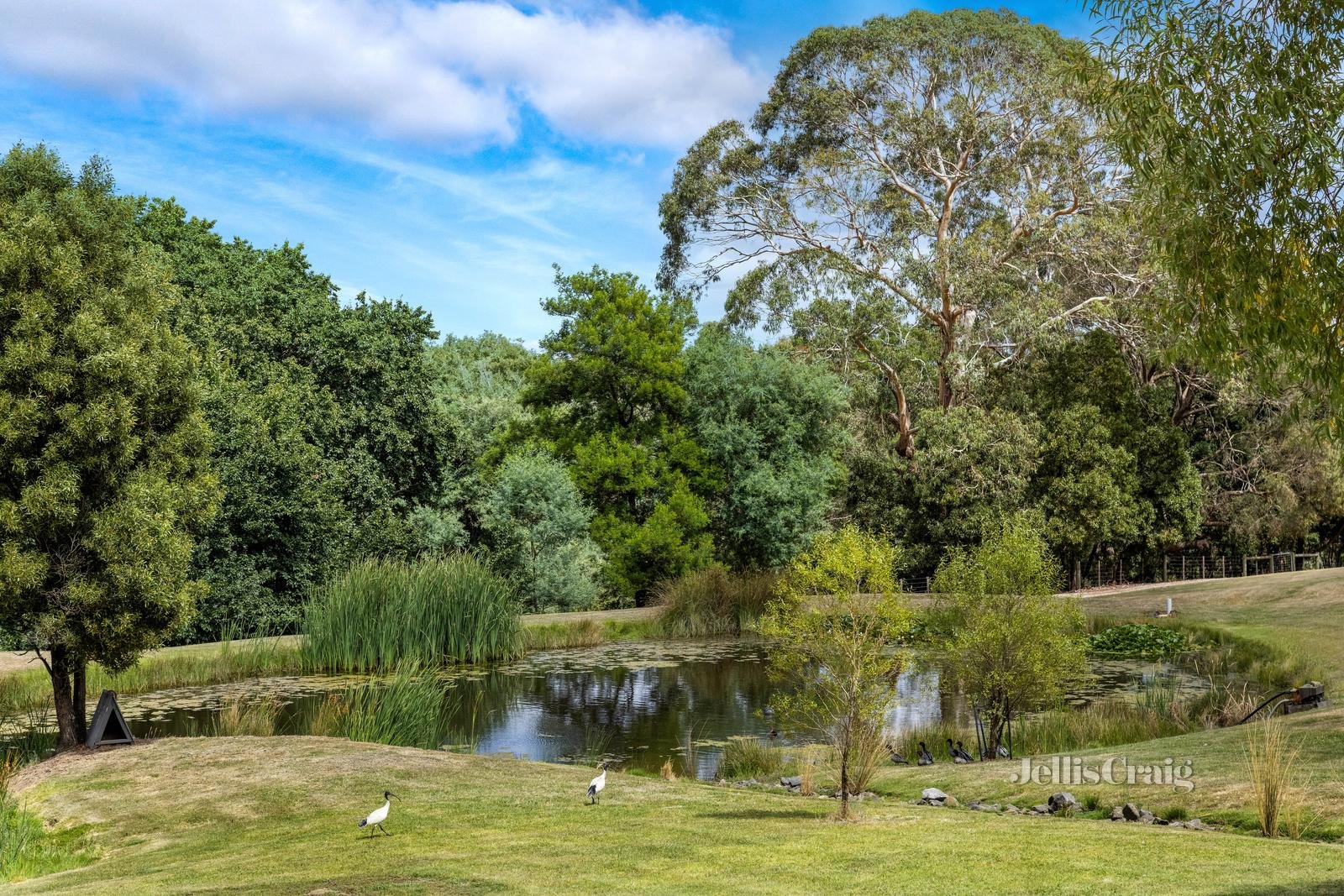 1017 Lal Lal Street, Buninyong image 3