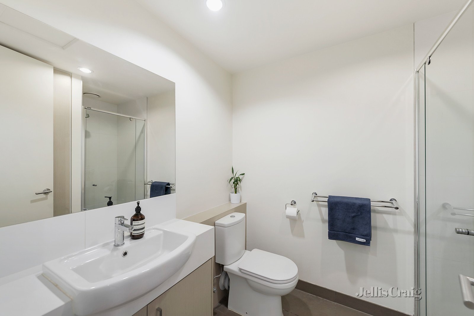 102/1387 Malvern Road, Malvern image 4