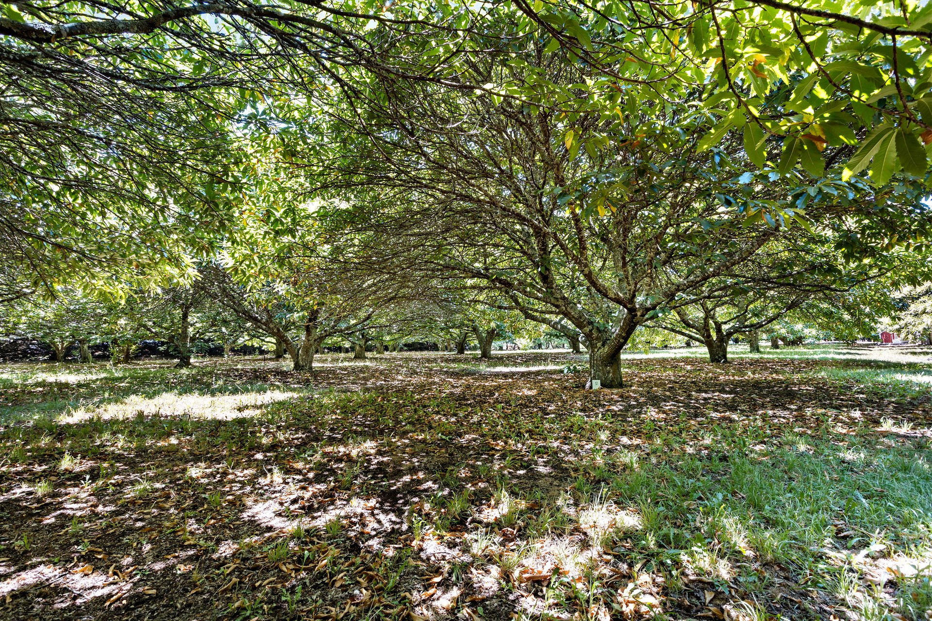 10/23 Collins Road, Glenlyon image 5