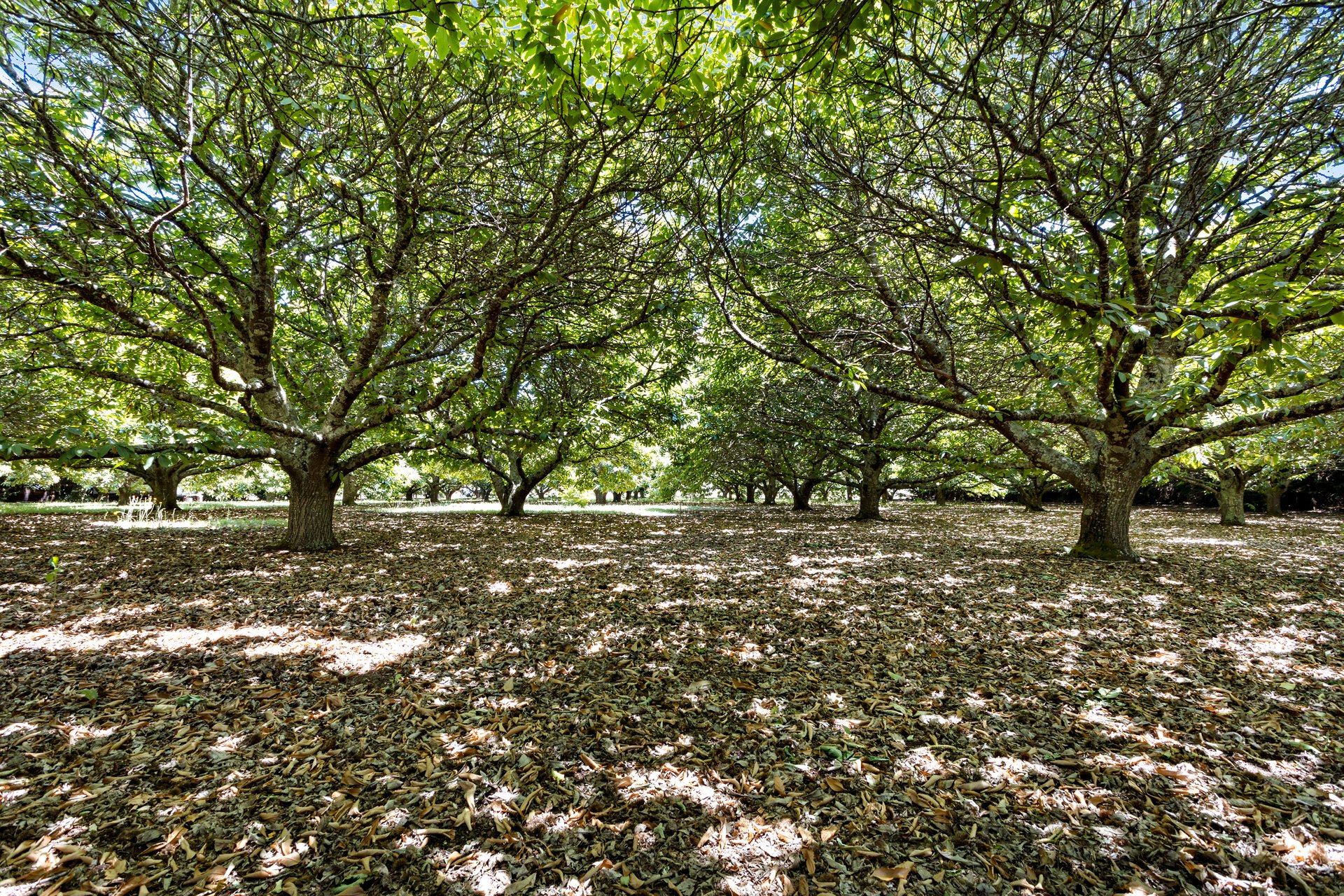 10/23 Collins Road, Glenlyon image 6