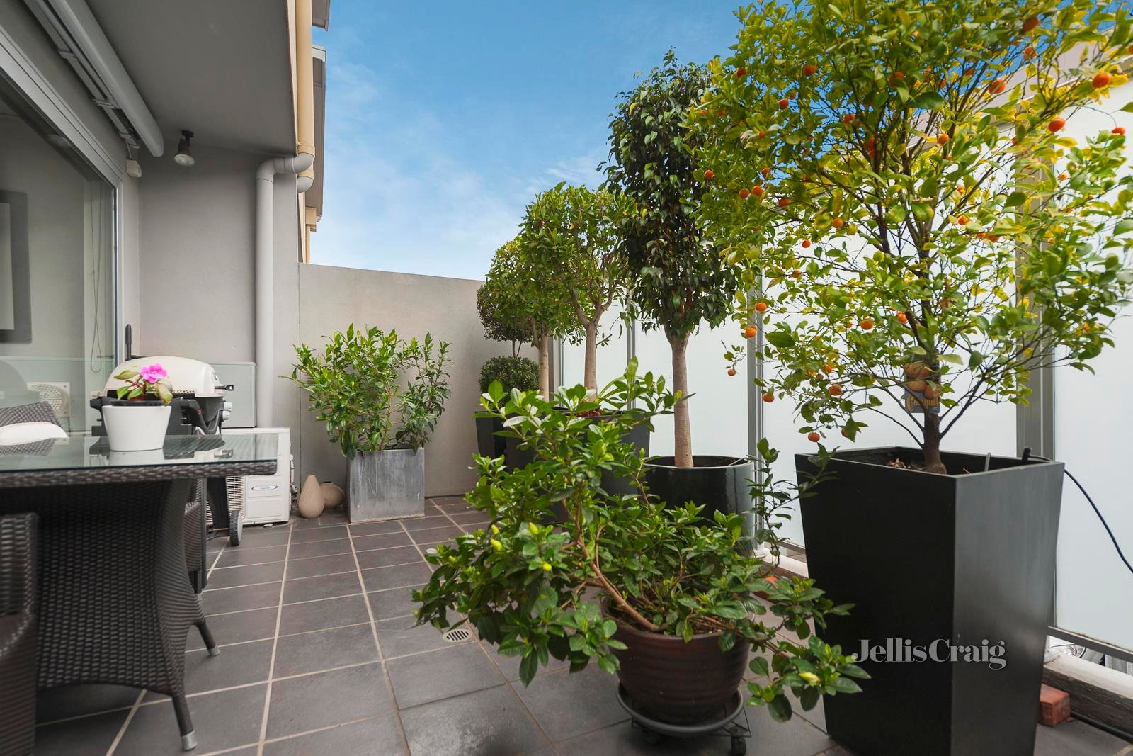 10/26 Redfern Road, Hawthorn East image 6